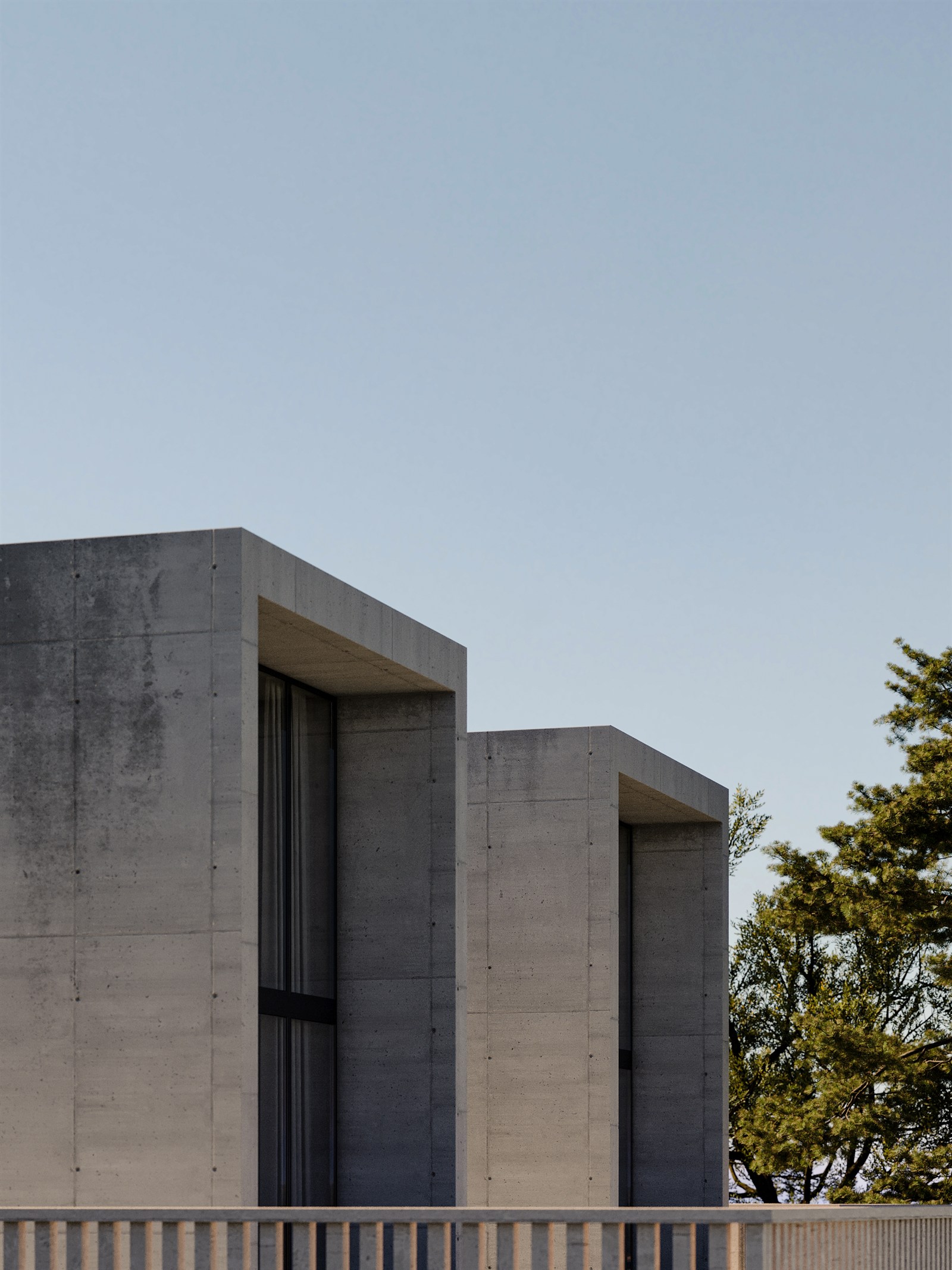 The two concrete volumes above the terrace balustrade, a pine beside them