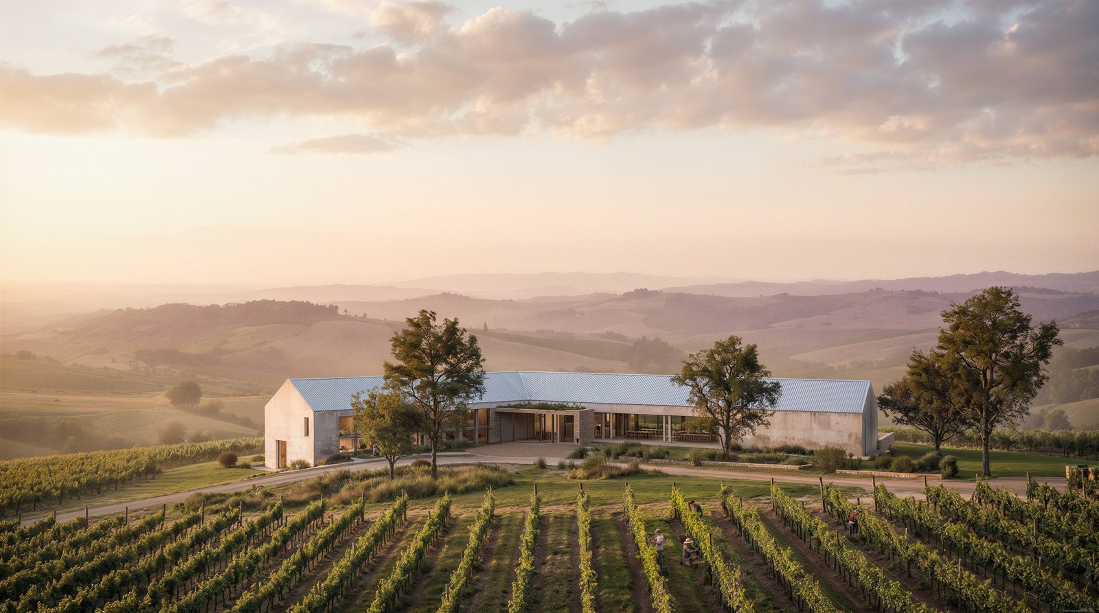 Winery bar set in vine rows with layered hills at sunset
