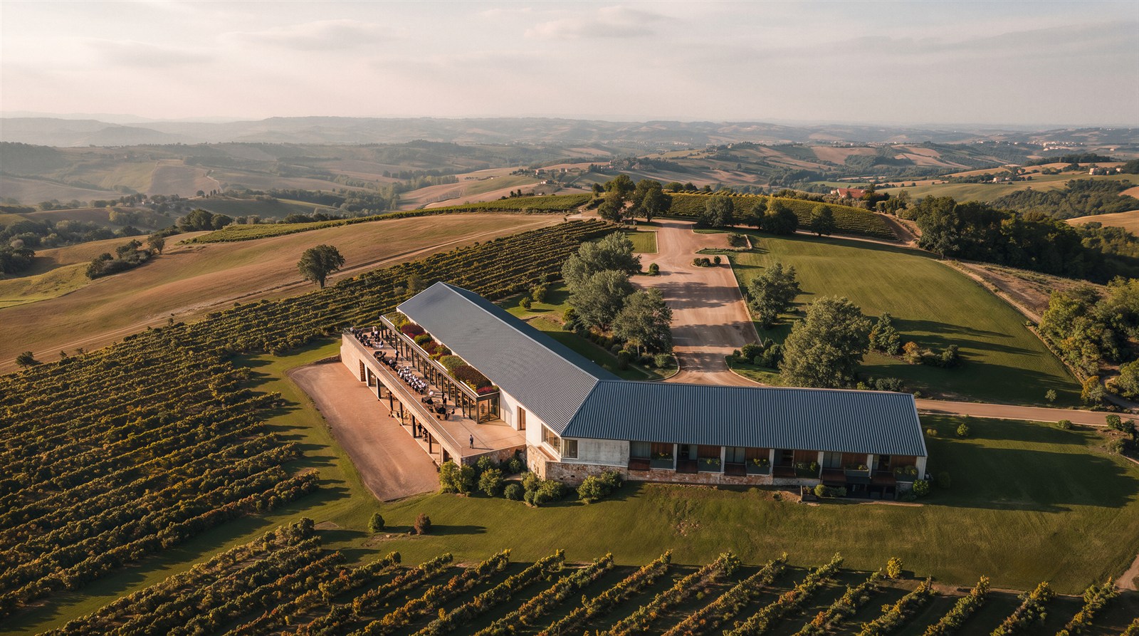 Aerial of the blue-roofed winery among vineyards and rolling fields