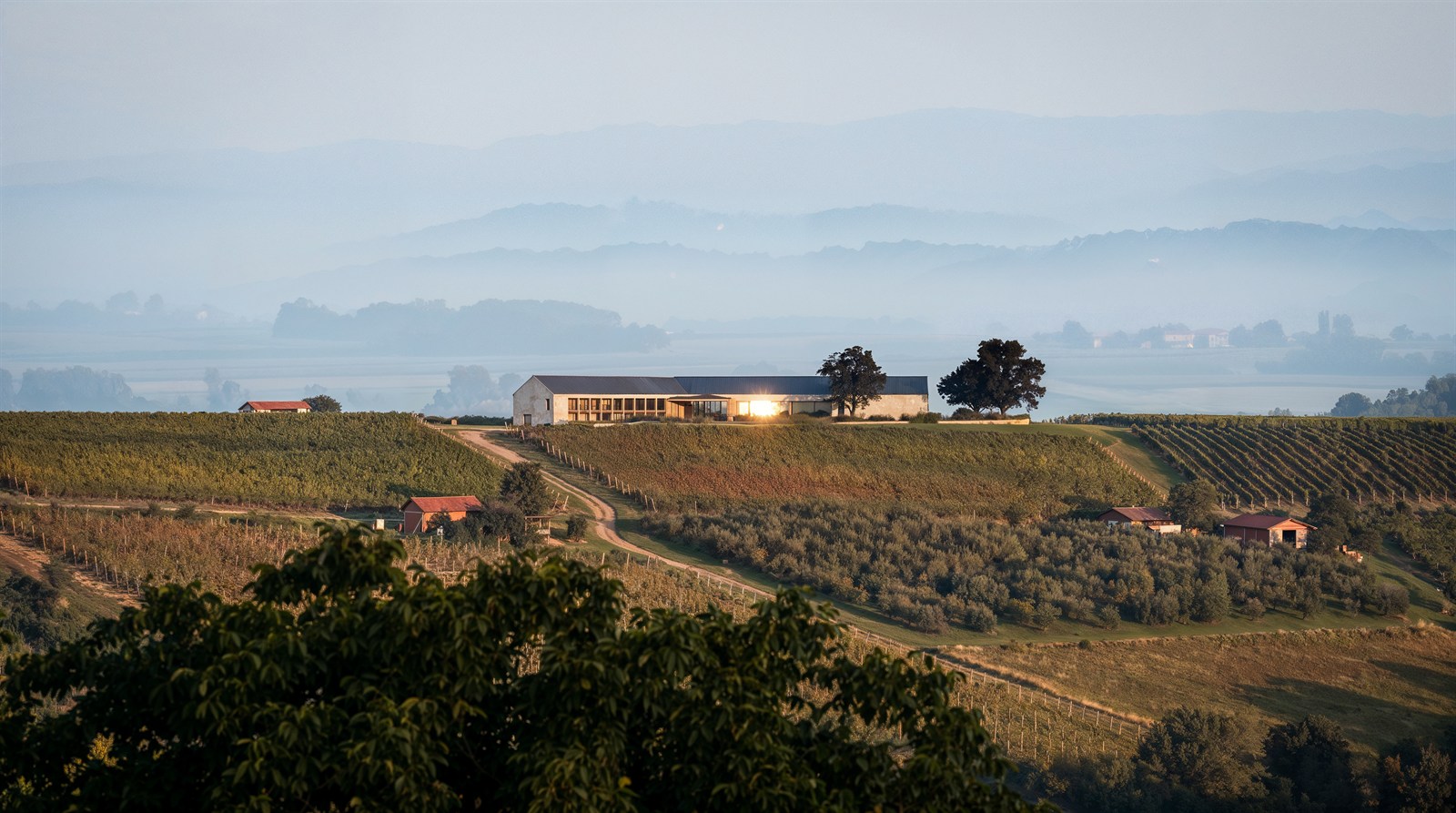 Distant winery in morning haze with layered blue hills behind